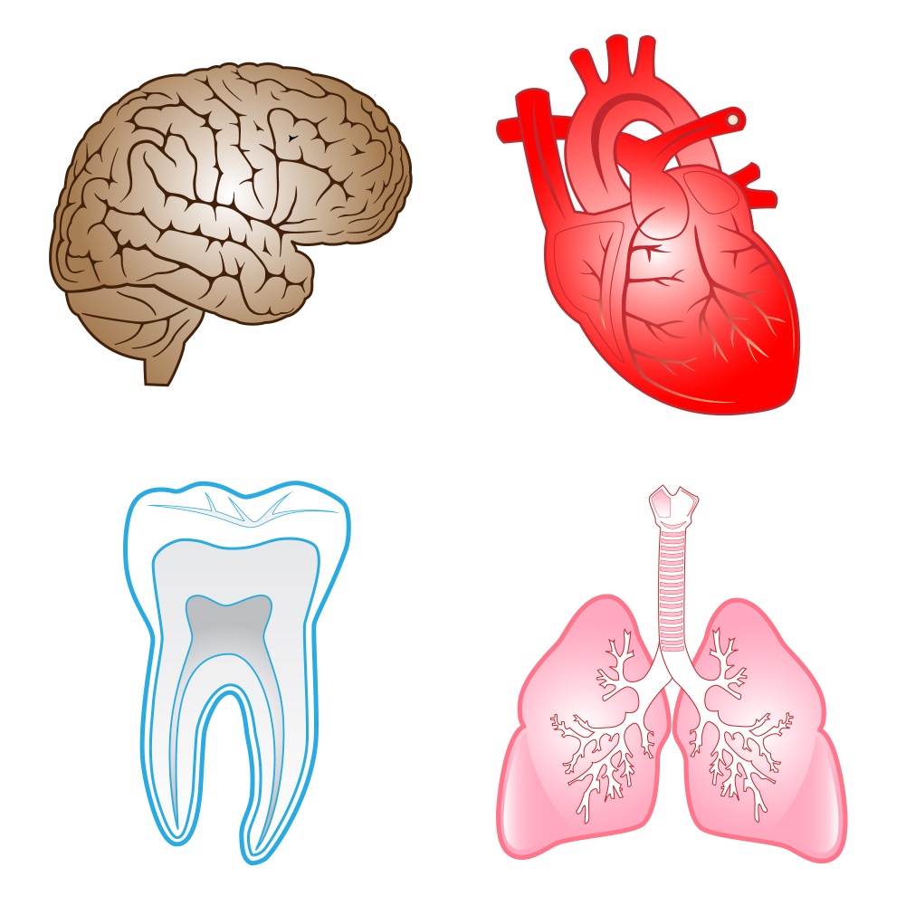 The Relationship Between Your Oral Health and Overall Health - Randolph ...